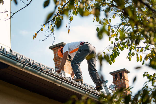 Best Roof Maintenance Services  in Magee, MS