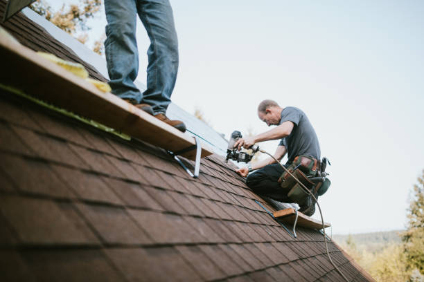 Best Roof Gutter Cleaning  in Magee, MS